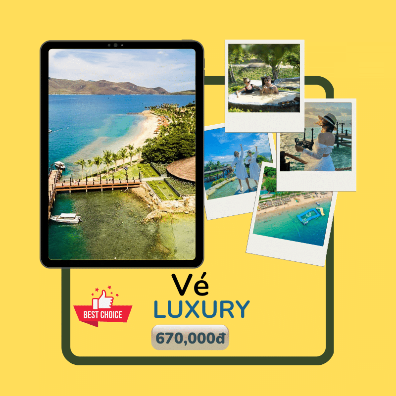 Hướng dẫn đặt vé Hòn Tằm/Tour đảo dành cho khách hàng cá nhân