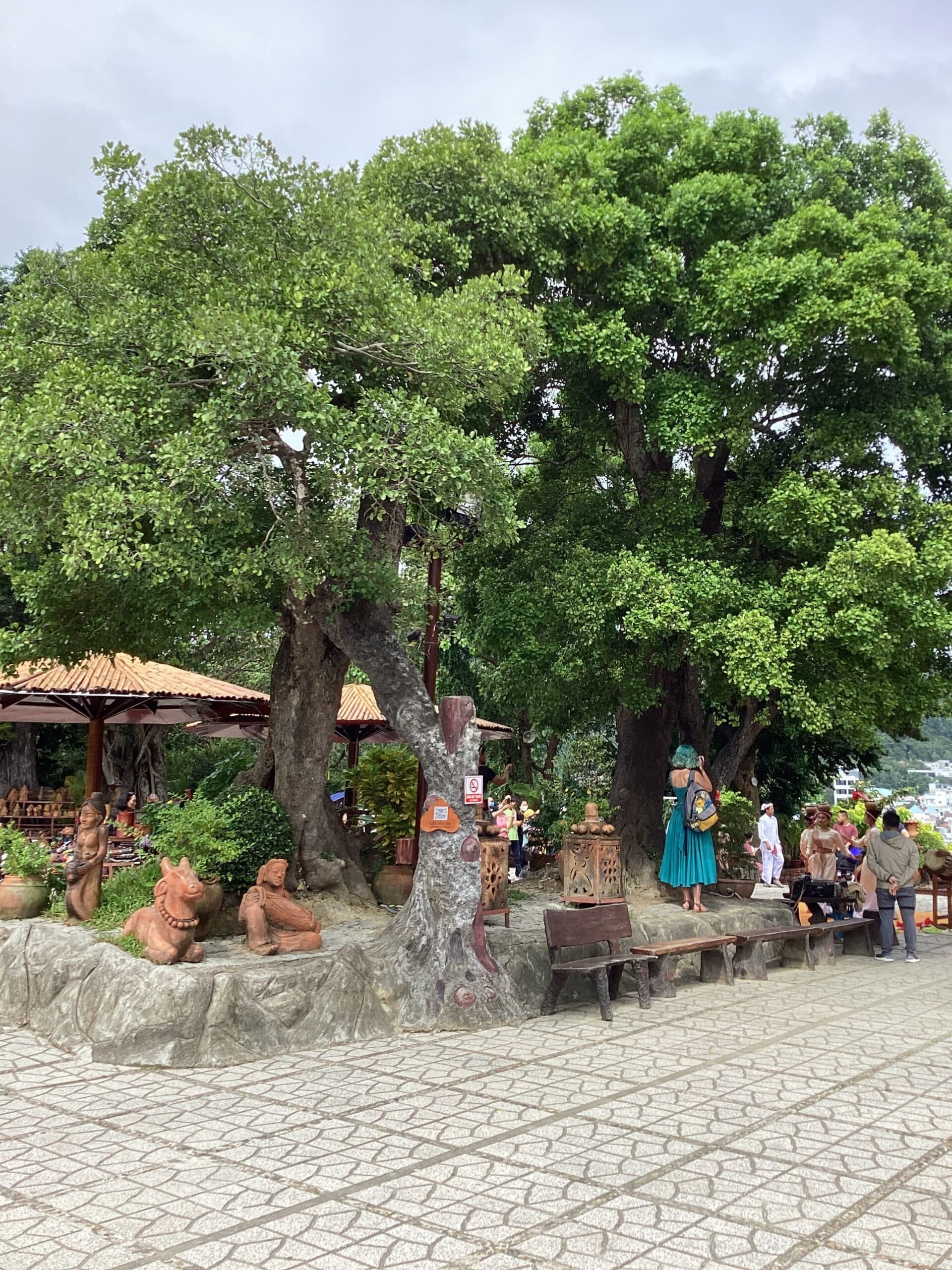 Cay xanh tai Thap Ba Ponagar Nha Trang