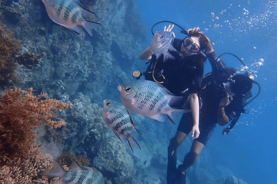 Lặn biển Nha trang