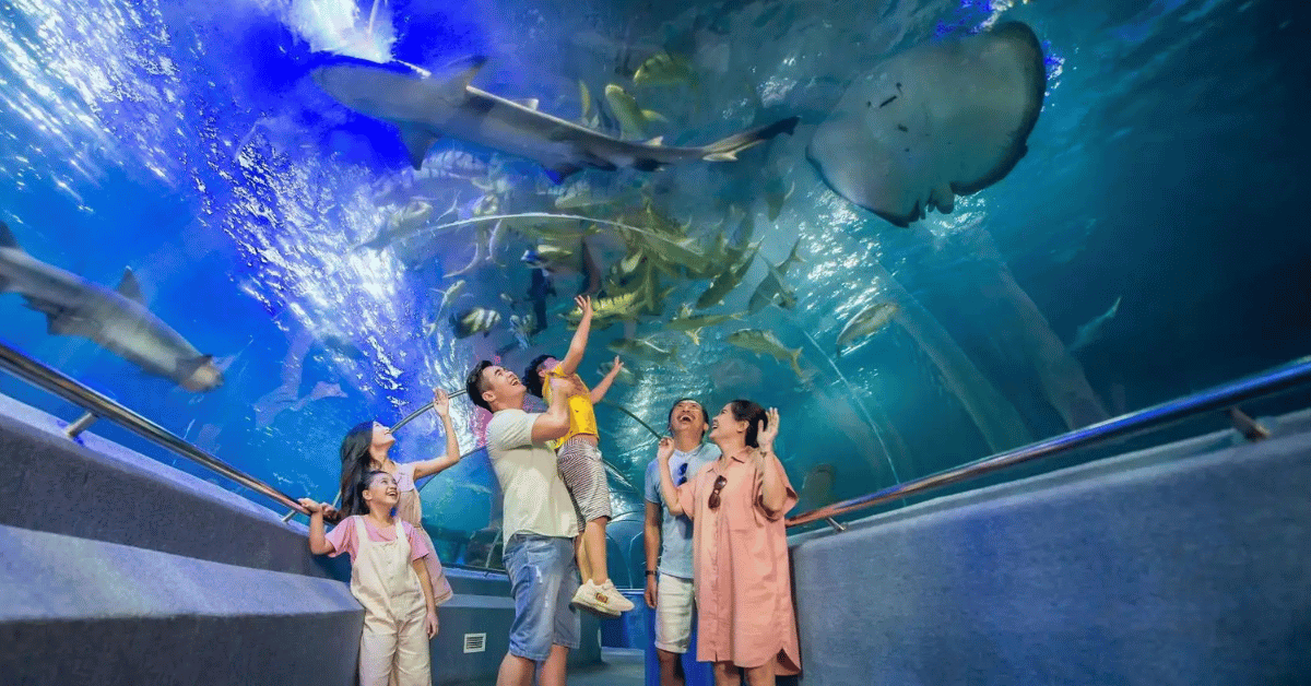 vien hai duong hoc nha trang