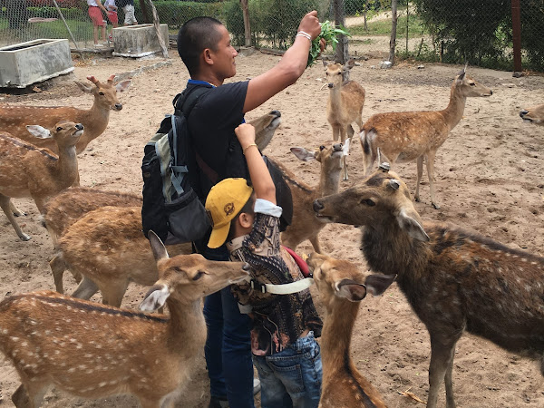 Đảo Khỉ Nha Trang 5