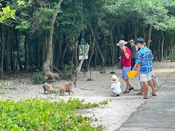 Đảo Khỉ Nha Trang 4