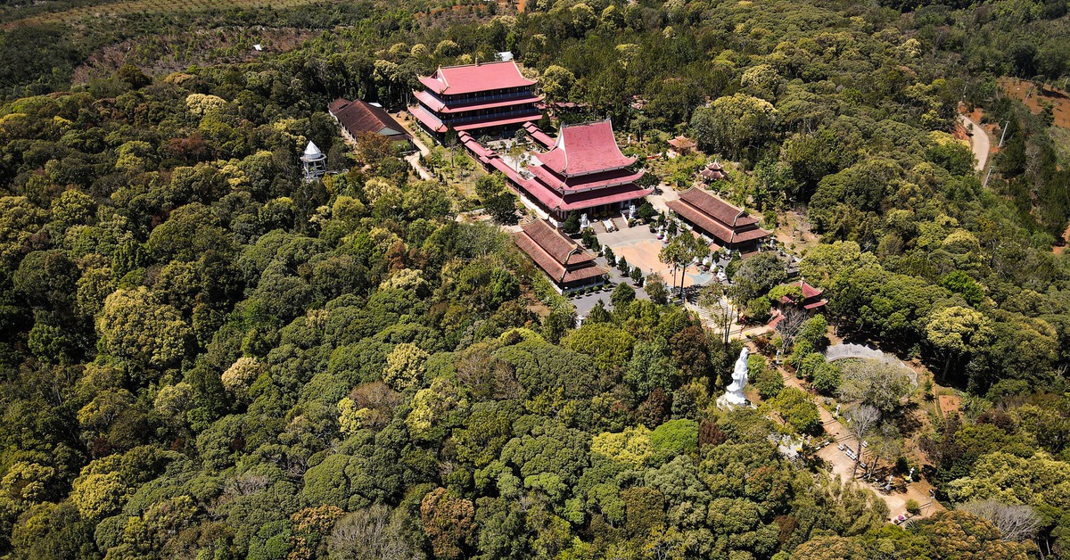 Ngỡ ngàng trước vẻ đẹp thơ mộng của rừng Măng Đen mùa lá đổ